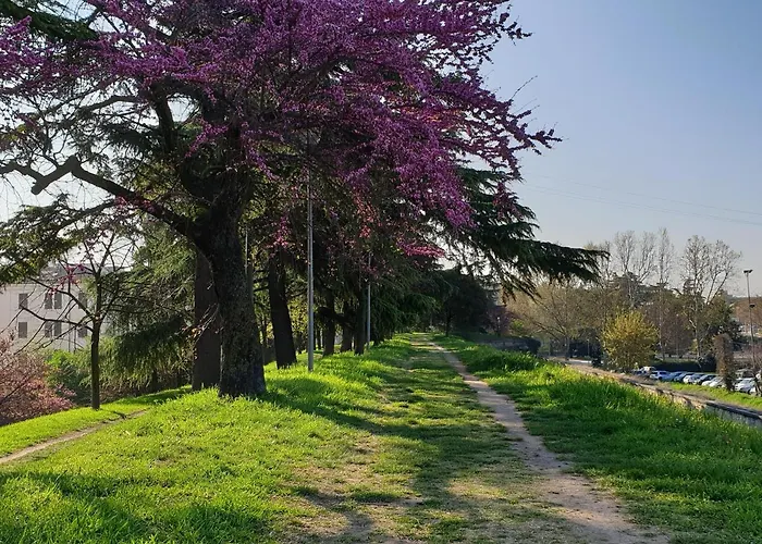 Appartement Divina San Zeno