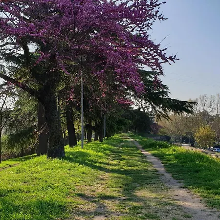 Apartamento Divina San Zeno
